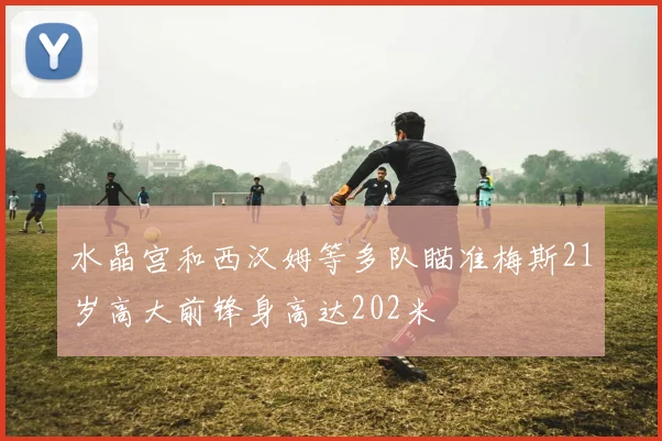 水晶宫和西汉姆等多队瞄准梅斯21岁高大前锋身高达202米