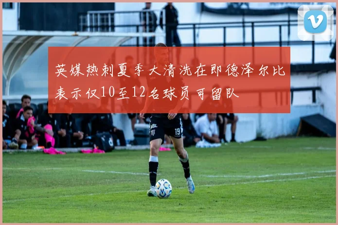 英媒热刺夏季大清洗在即德泽尔比表示仅10至12名球员可留队